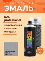 Эмаль аэрозольная Decorix Professional RAL 7004 сигнальный серый 520 мл от интернет-магазина Венас