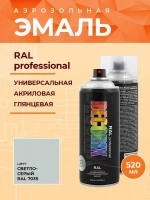 Эмаль аэрозольная Decorix Professional RAL 7035 светло-серый 520 мл от интернет-магазина Венас