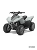 Эмаль аэрозольная Decorix Professional RAL 7035 светло-серый 520 мл от интернет-магазина Венас