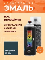 Эмаль аэрозольная Decorix Professional RAL 7016 антрацитово-серый 520 мл от интернет-магазина Венас