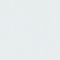 Обои флизелиновые Erismann Richard 60833-03 1,06х10 м